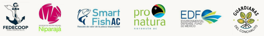 FEDECOOP / Zona Centro B.C.S., Sociedad de Historia Natural / NIPARAL, Smart Fish AC / Rescate de valor de la pesca responsable, Pro Natura / Noroeste a.c., EDF / Enviromental Defense Fund de México, Guardianas del Conchalito