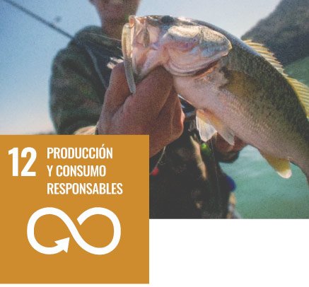 ODS12: Producción y Consumo Responsables