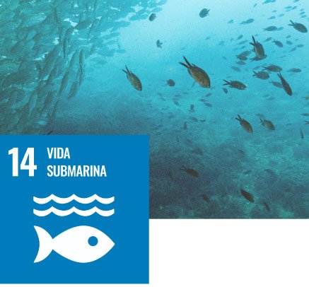 ODS14: Vida Submarina